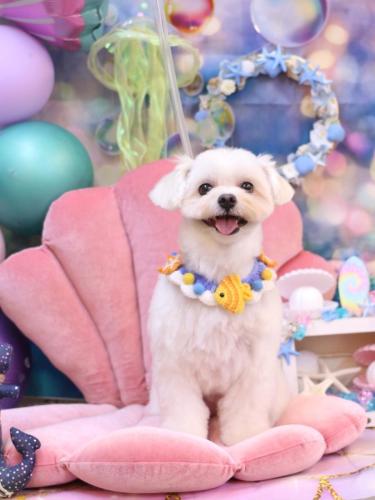 20240810うるちゃん